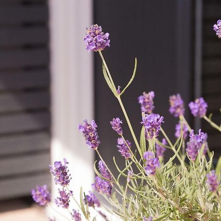 Bentleys Coast And Country B&B Lymington Zewnętrze zdjęcie