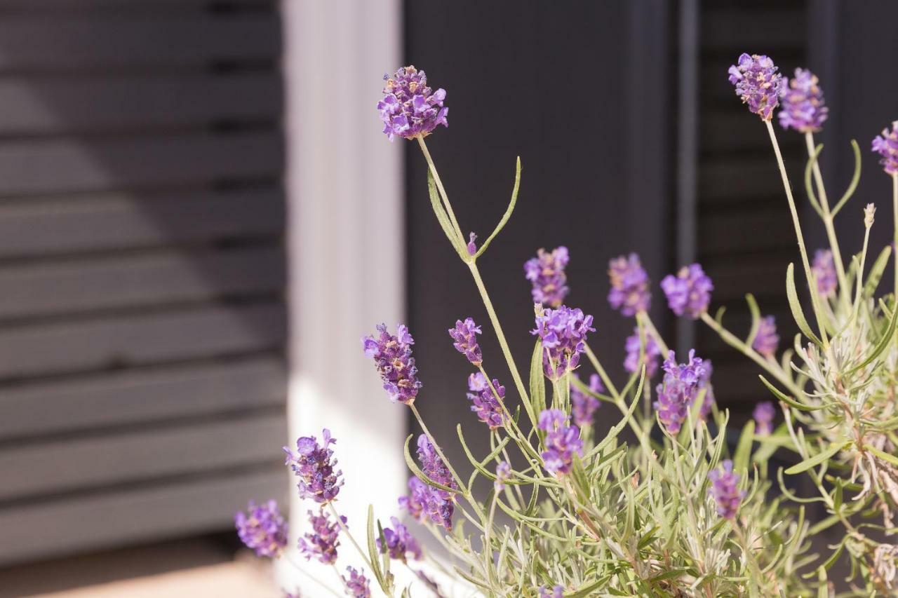 Bentleys Coast And Country B&B Lymington Zewnętrze zdjęcie