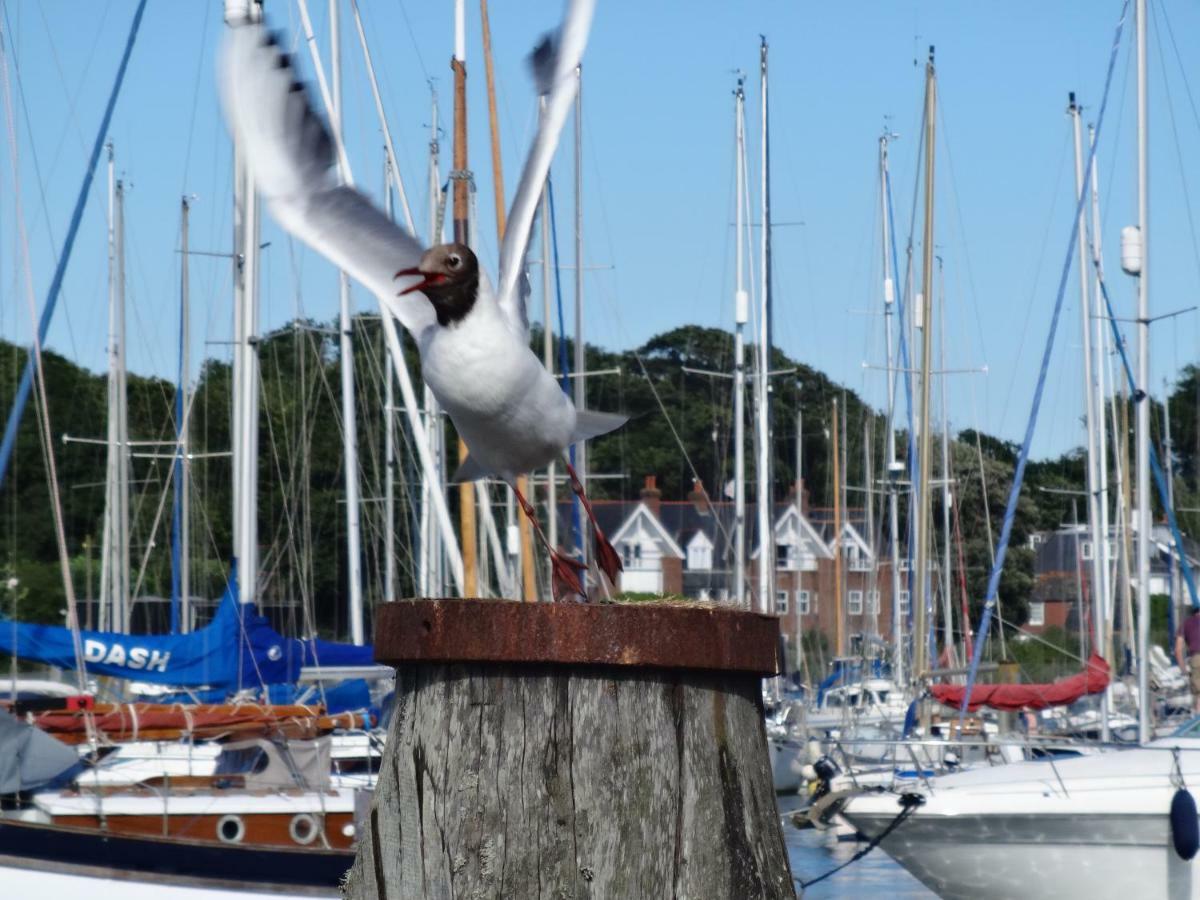 Bentleys Coast And Country B&B Lymington Zewnętrze zdjęcie
